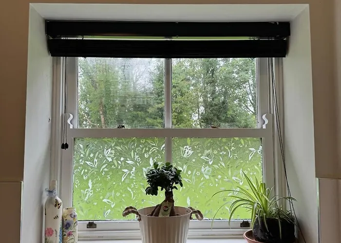 The Rose & Pearl Retreat