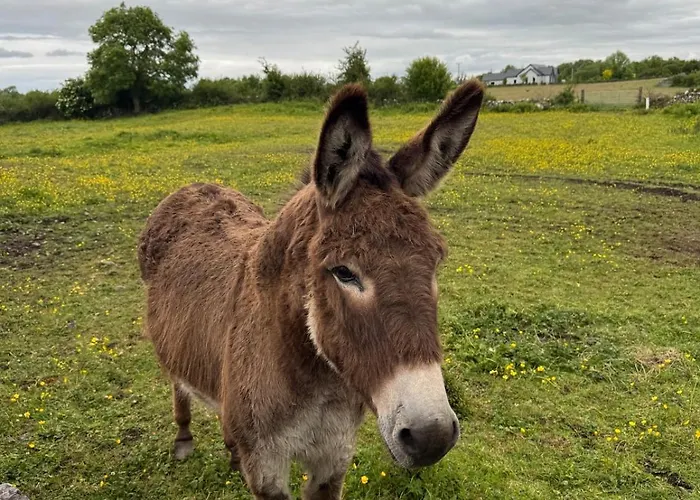 Casa vacanze The Rose & Pearl Retreat